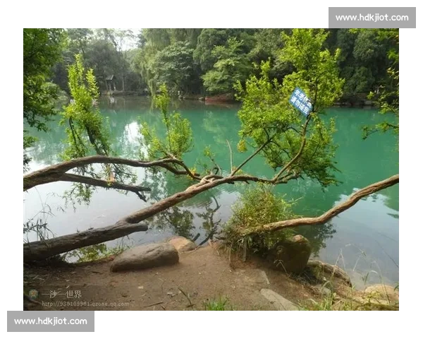 二十年前贵阳行：金庸的棋与百花湖的诗